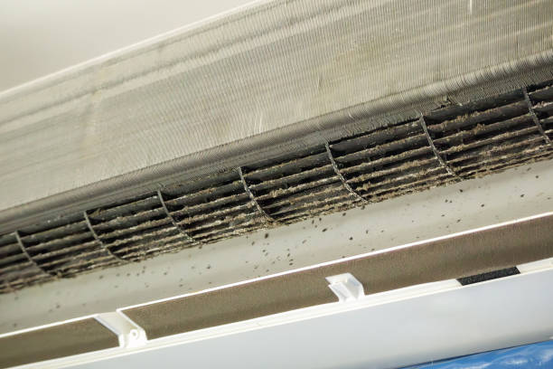 Best Best Air Duct Cleaning Company  in Dequincy, LA